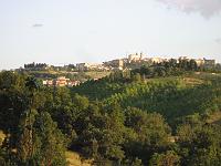 Summer - View from the garden